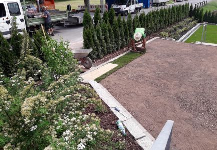 Rollrasen wird verlegt