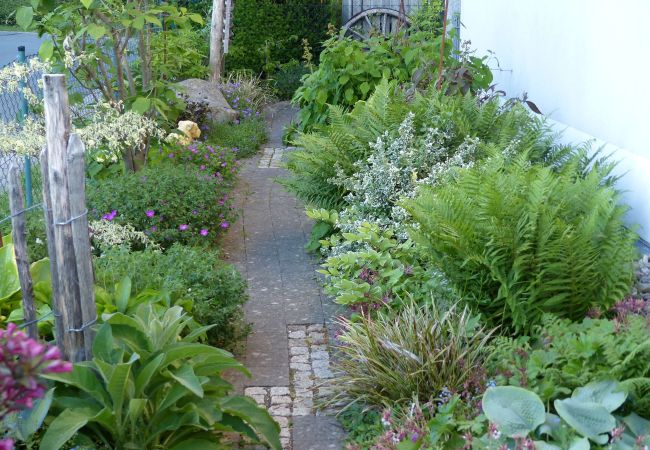 Gestaltete Bepflanzung am Gartenweg