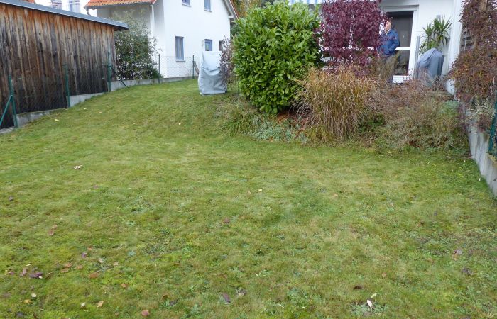 Hausgarten vor Umgestaltung