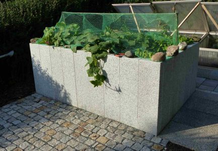 Gartenmauer vor Rasen