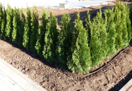 Offengelegte Bewässerungsanlage für Garten